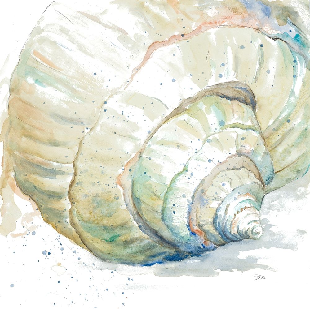 Water Conch art print by Patricia Pinto for $57.95 CAD