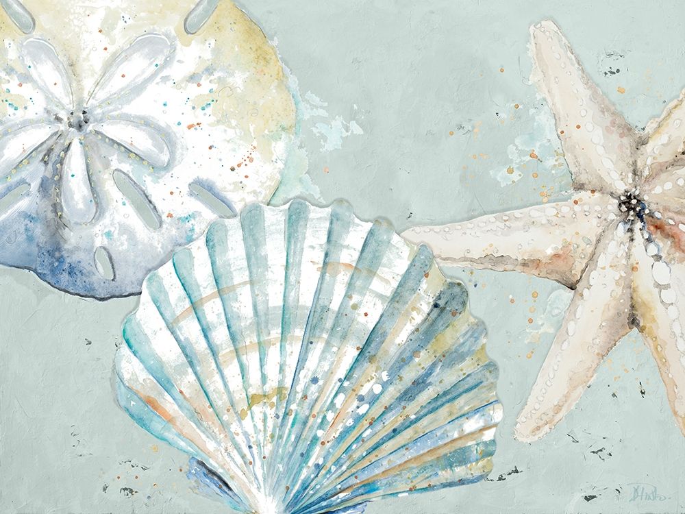 Beach Shells art print by Patricia Pinto for $57.95 CAD