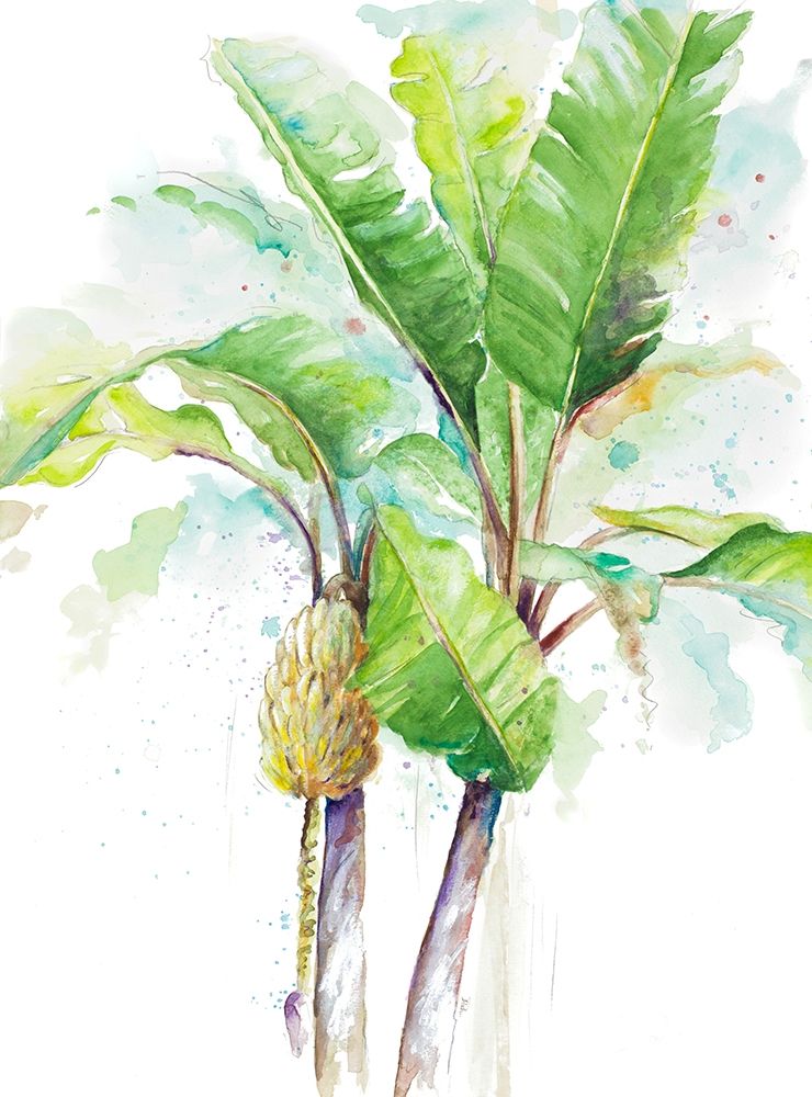 Watercolor Banana Plantain art print by Patricia Pinto for $57.95 CAD