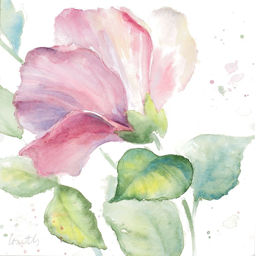 Fragrant Hibiscus I art print by Lanie Loreth for $57.95 CAD