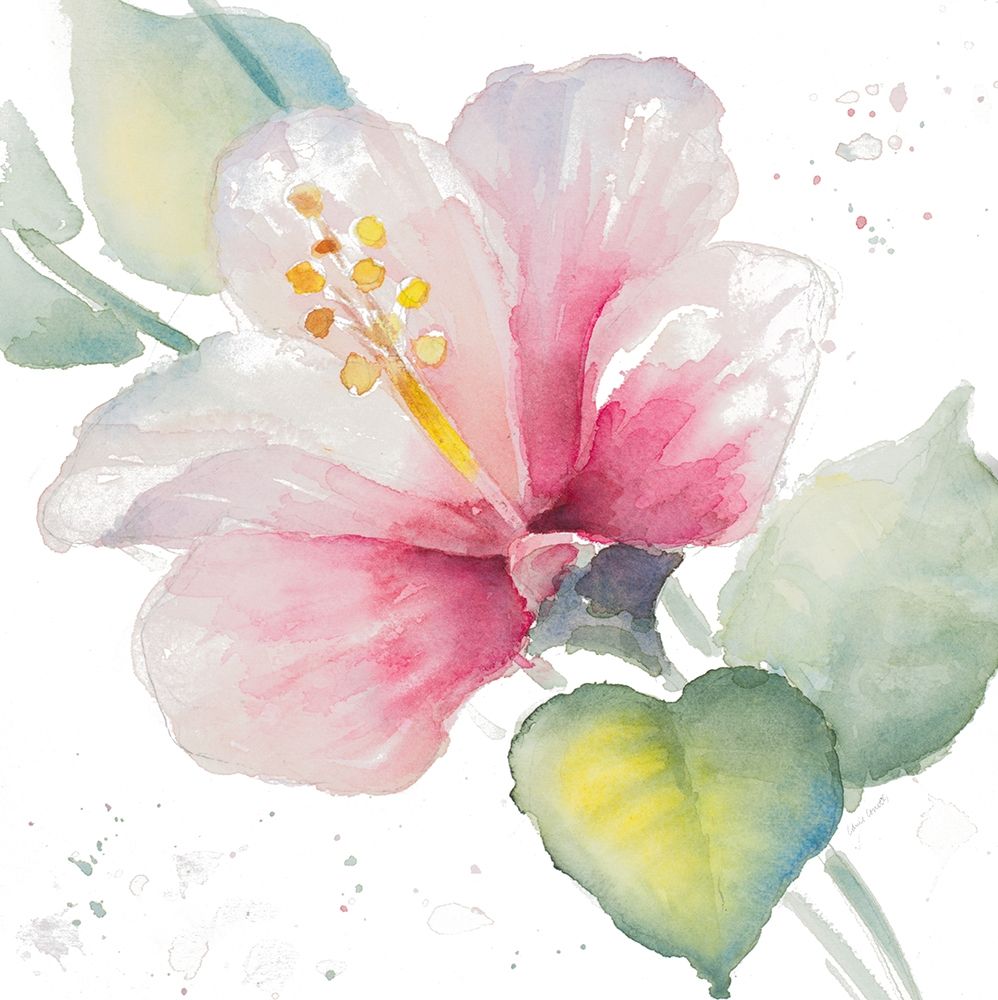 Fragrant Hibiscus II art print by Lanie Loreth for $57.95 CAD