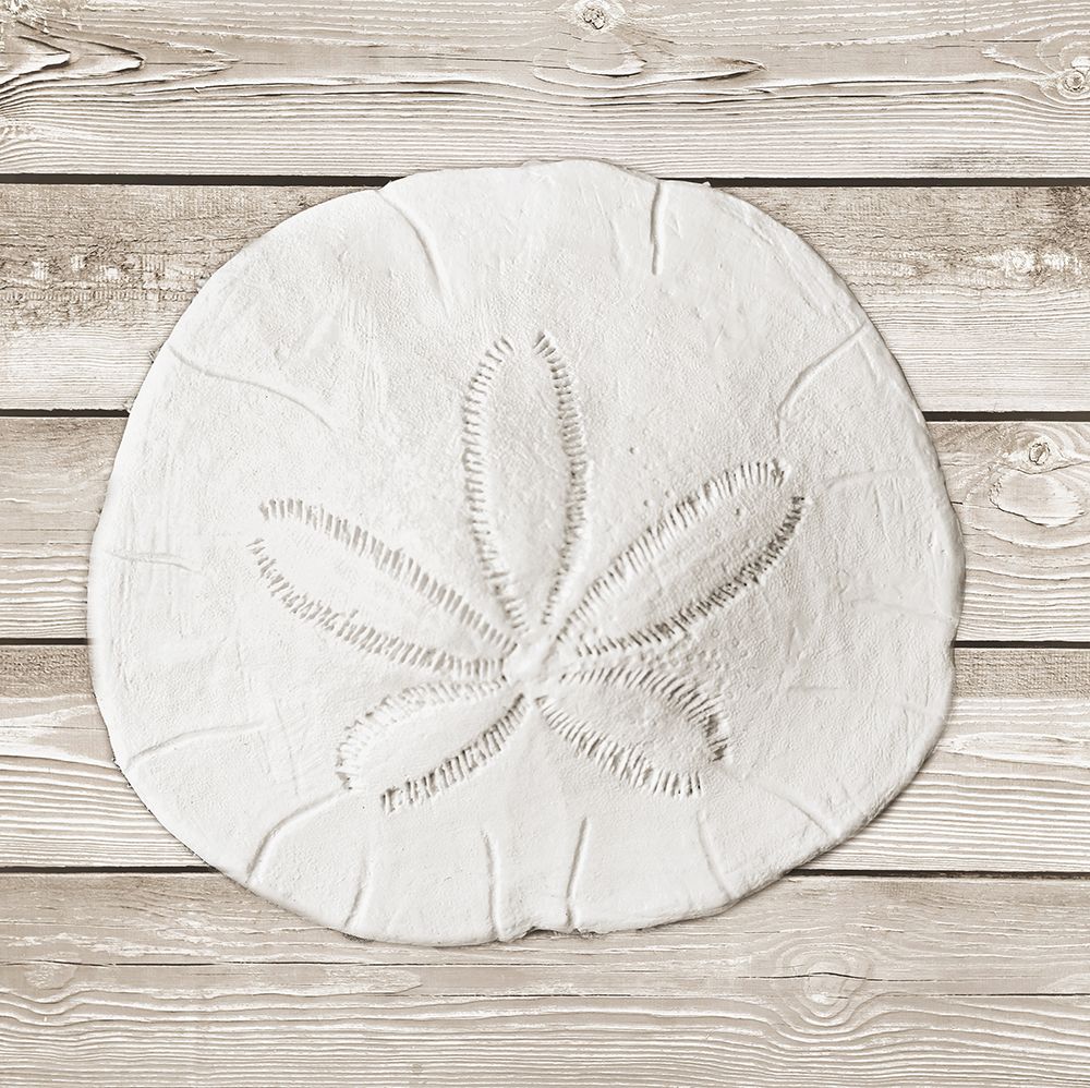 Sand And Sea On Wood Background I art print by Jairo Rodriguez for $57.95 CAD