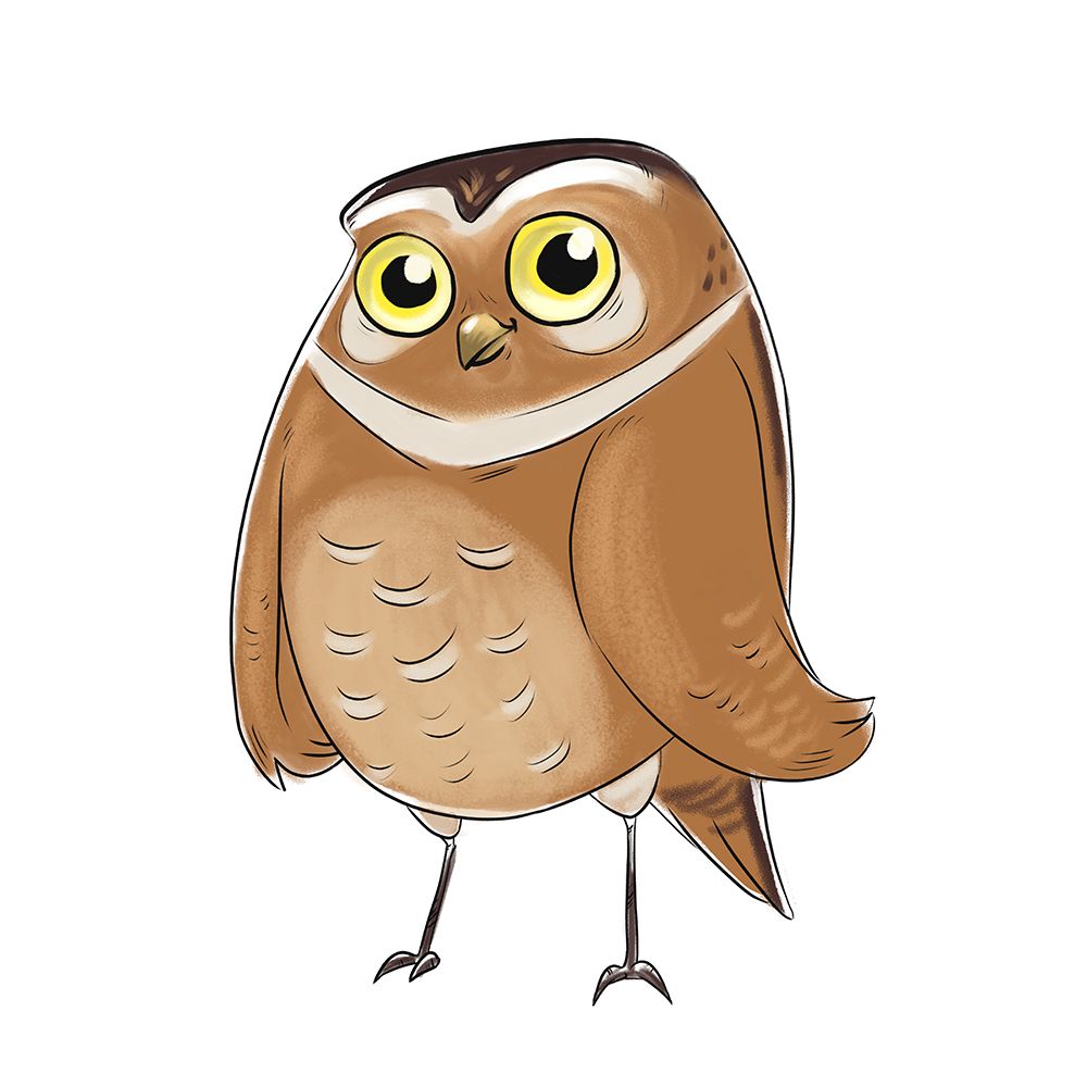 Kids Owl art print by SD Graphics Studio for $57.95 CAD