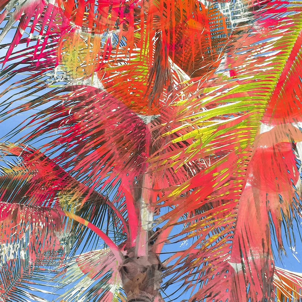 Bright Palms art print by Nola James for $57.95 CAD