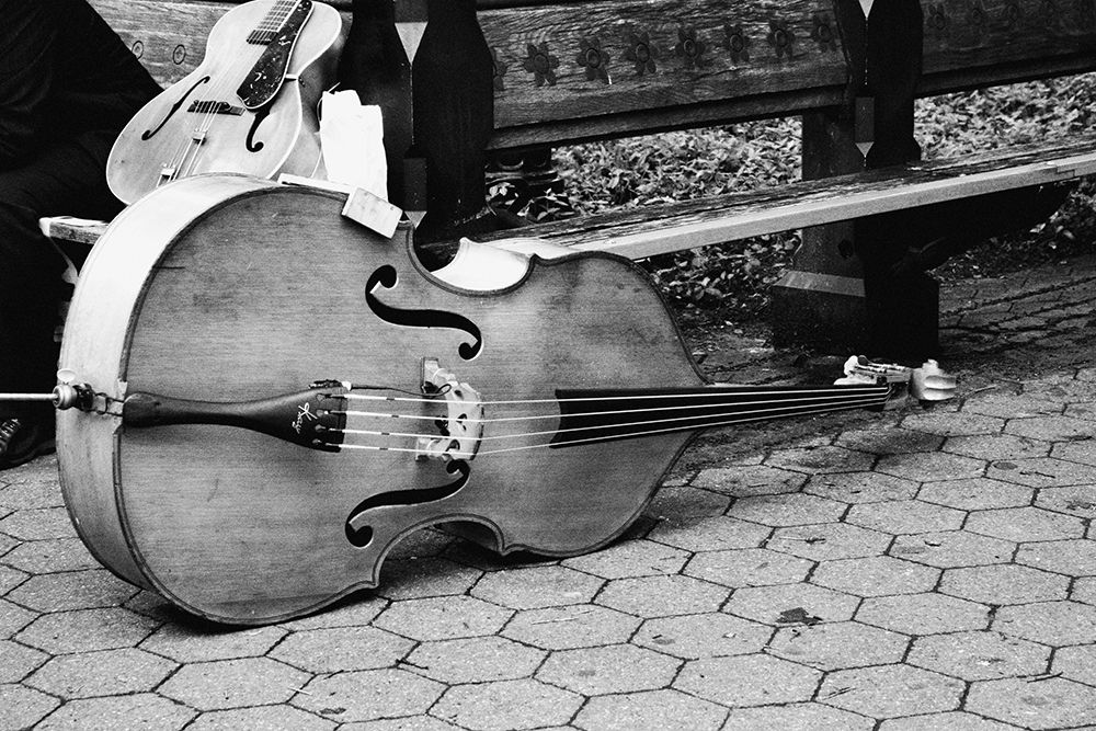 Cello art print by Emily Navas for $57.95 CAD