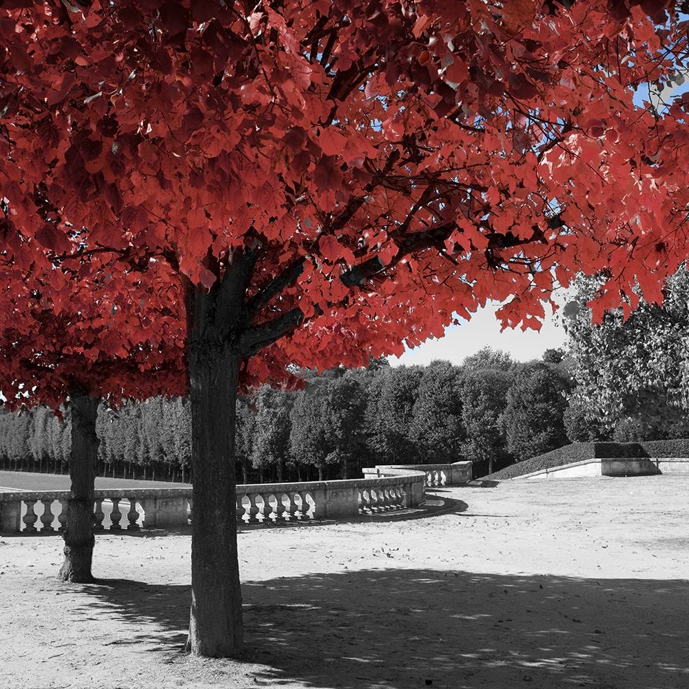 Garden Walk art print by Emily Navas for $57.95 CAD