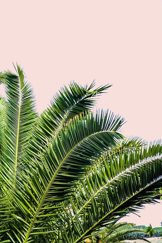 Tropical Leaves On Blush I art print by Acosta for $57.95 CAD