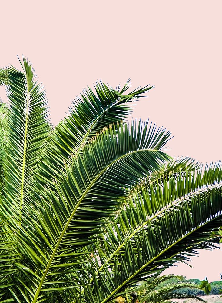 Tropical Leaves on Blush I art print by Acosta for $57.95 CAD