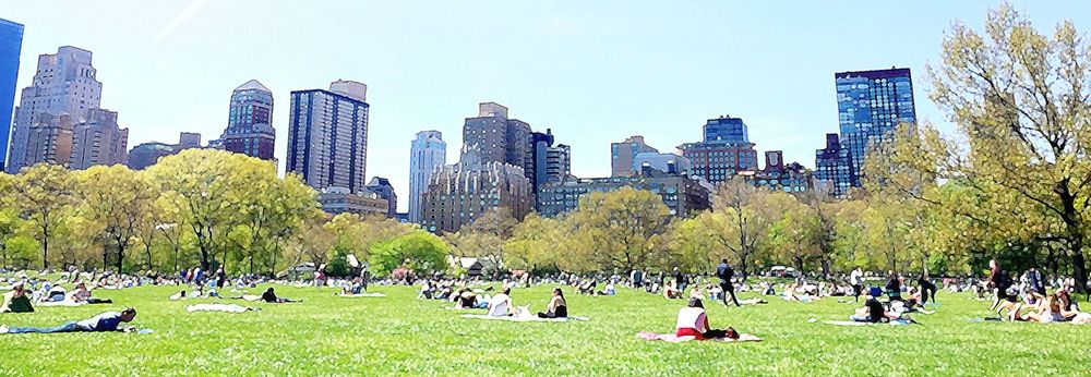 Central Park Picnic art print by Acosta for $57.95 CAD