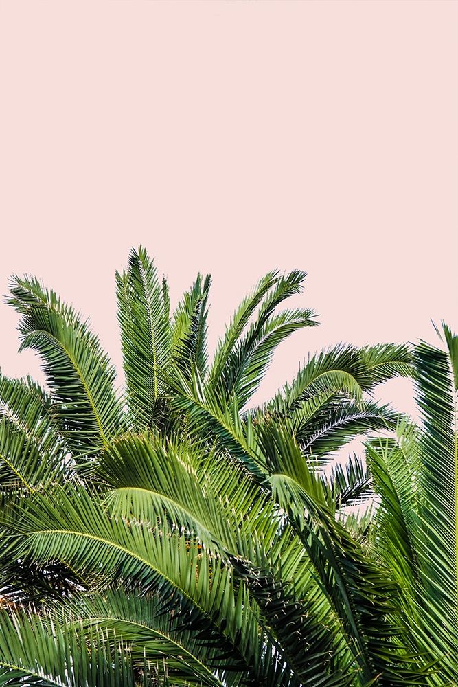 Tropical Leaves on Blush II art print by Acosta for $57.95 CAD