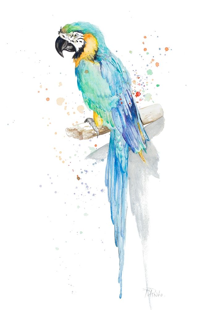 Watercolor Parrot art print by Patricia Pinto for $57.95 CAD
