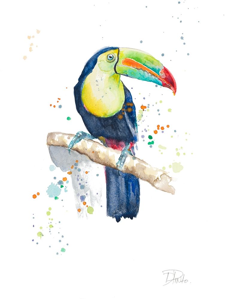 Watercolor Toucan art print by Patricia Pinto for $57.95 CAD