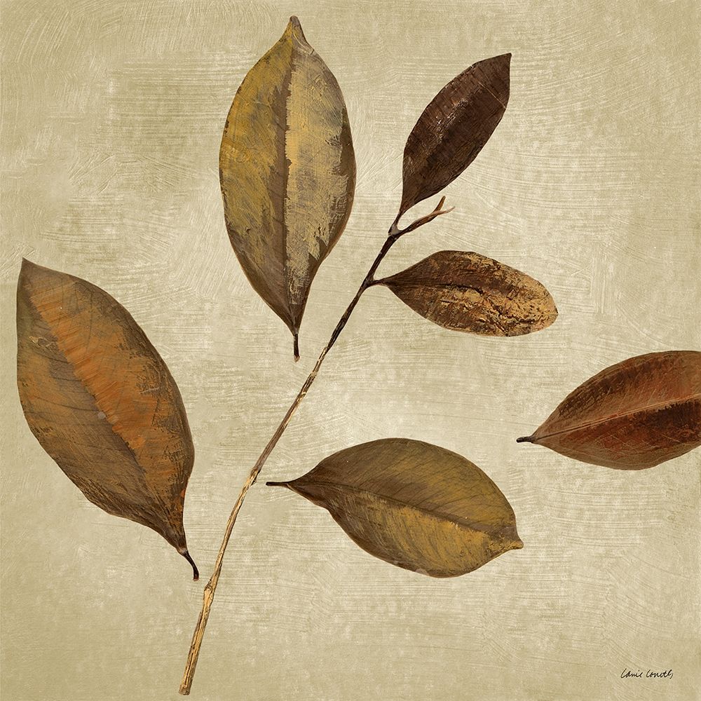 Antiqued Leaves I art print by Lanie Loreth for $57.95 CAD