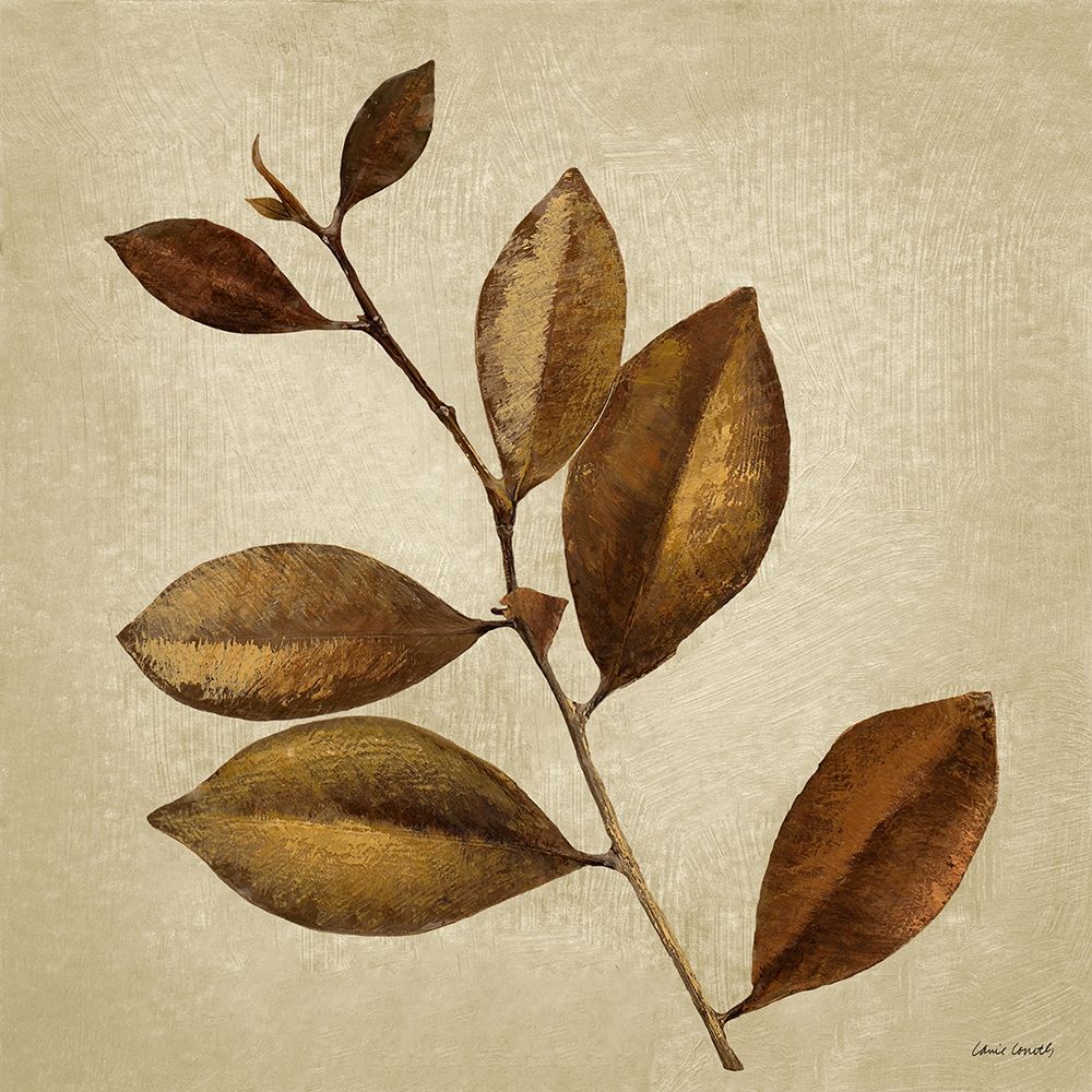 Antiqued Leaves II art print by Lanie Loreth for $57.95 CAD