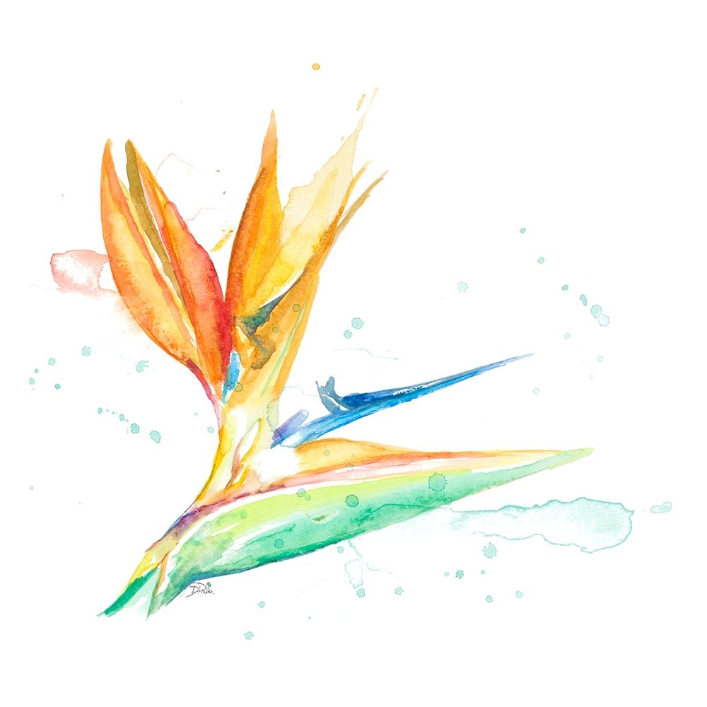 Bird of Paradise II art print by Patricia Pinto for $57.95 CAD