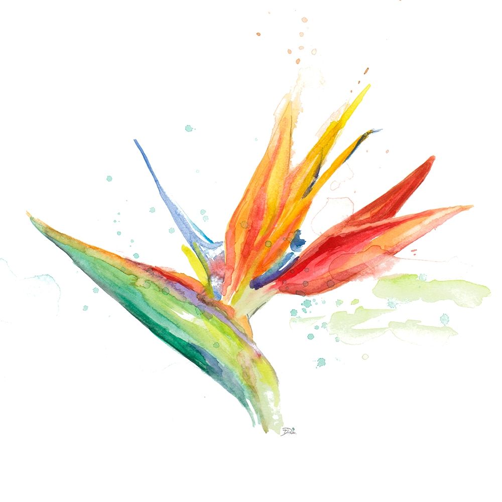 Bird of Paradise III art print by Patricia Pinto for $57.95 CAD