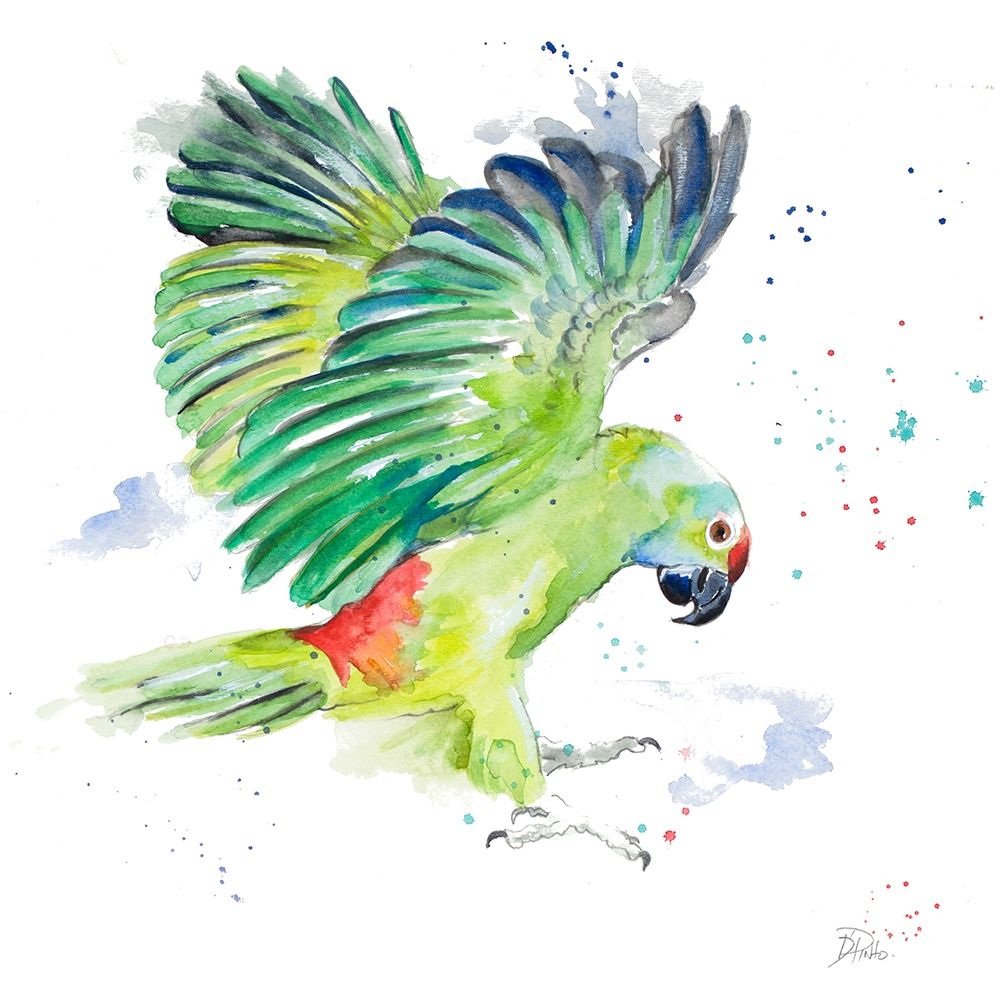 Amazon Parrot I art print by Patricia Pinto for $57.95 CAD