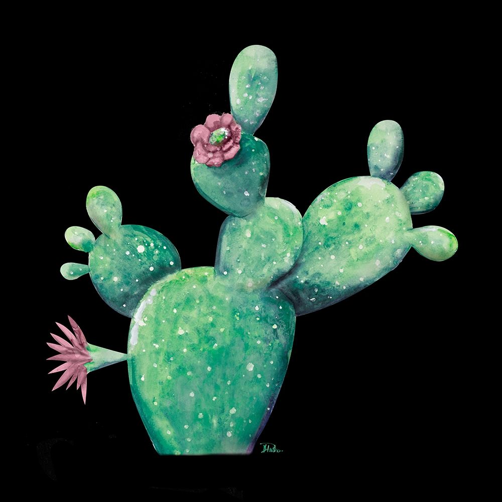 Cactus in Bloom on Black I art print by Patricia Pinto for $57.95 CAD