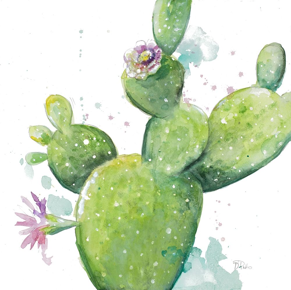 Cactus in Bloom art print by Patricia Pinto for $57.95 CAD