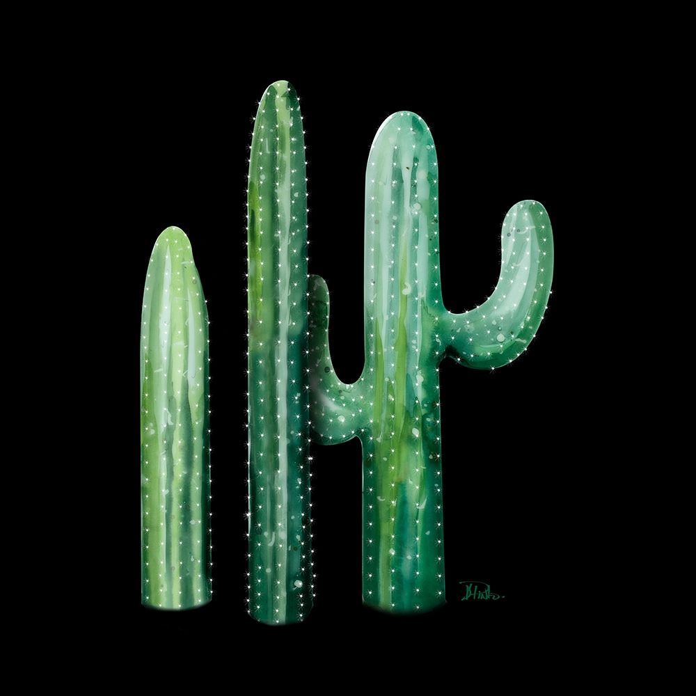 Cactus in Bloom on Black II art print by Patricia Pinto for $57.95 CAD
