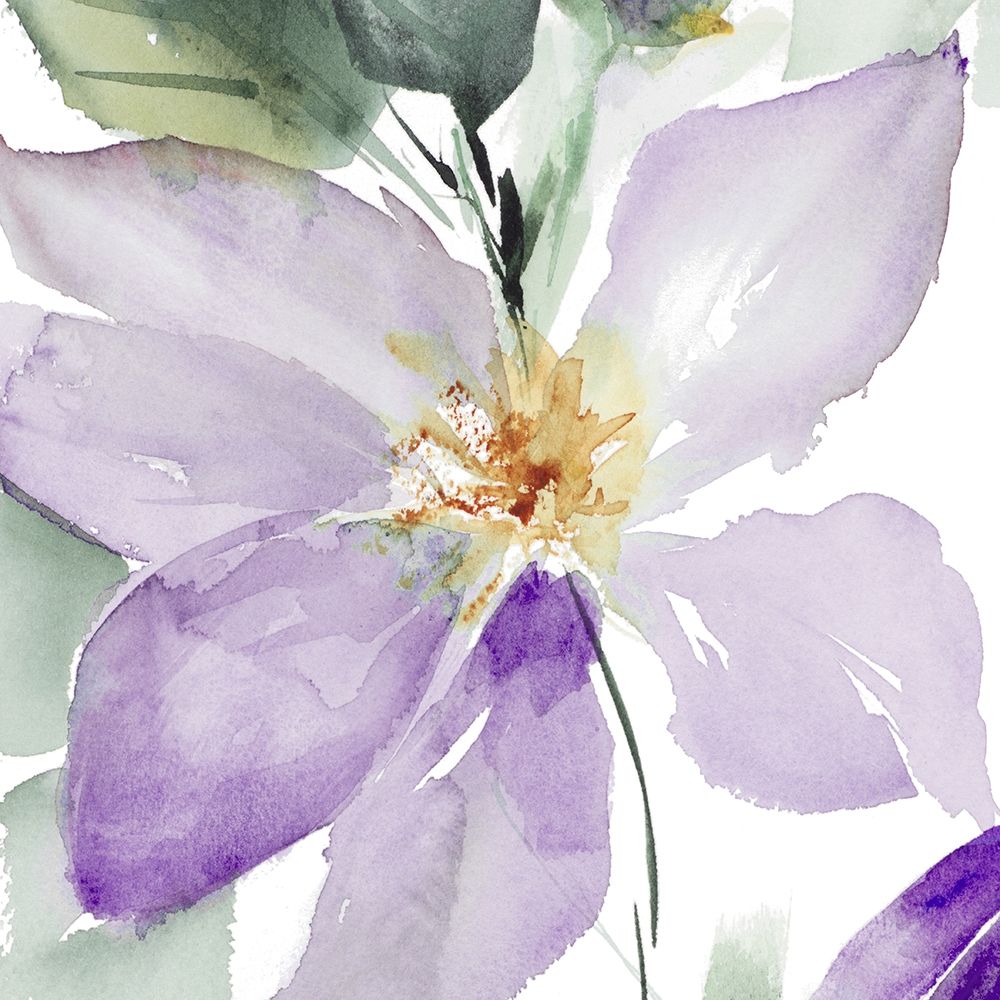 Clematis in Purple Shades I art print by Lanie Loreth for $57.95 CAD