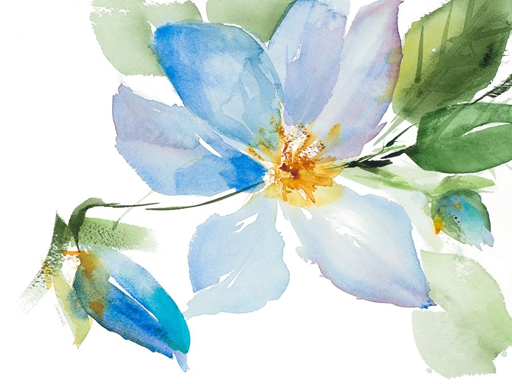 Single Clematis with Buds art print by Lanie Loreth for $57.95 CAD