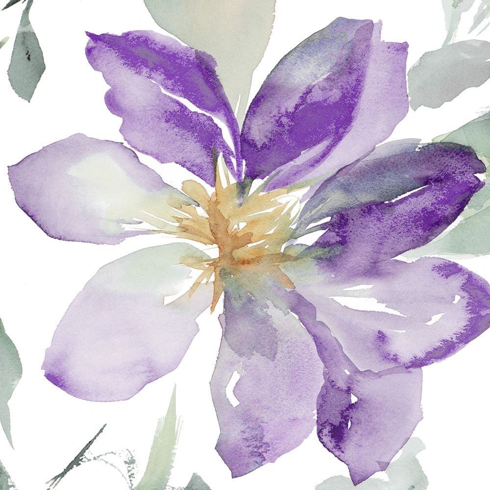 Clematis in Purple Shades II art print by Lanie Loreth for $57.95 CAD