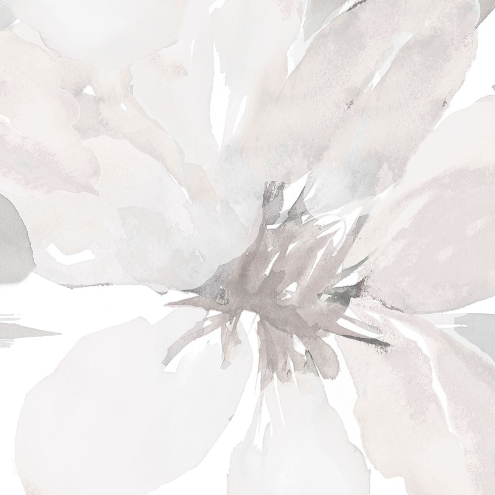 Soft Clematis II art print by Lanie Loreth for $57.95 CAD