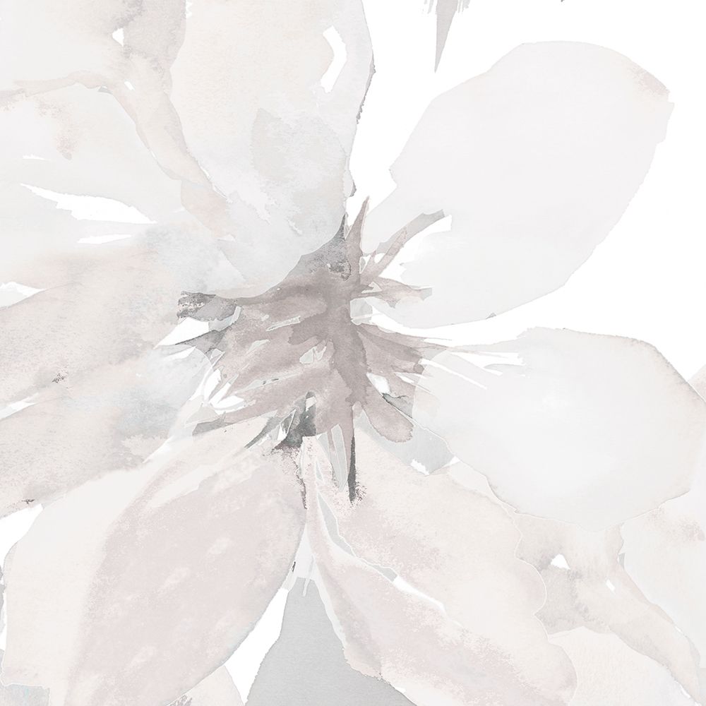 Soft Clematis I art print by Lanie Loreth for $57.95 CAD