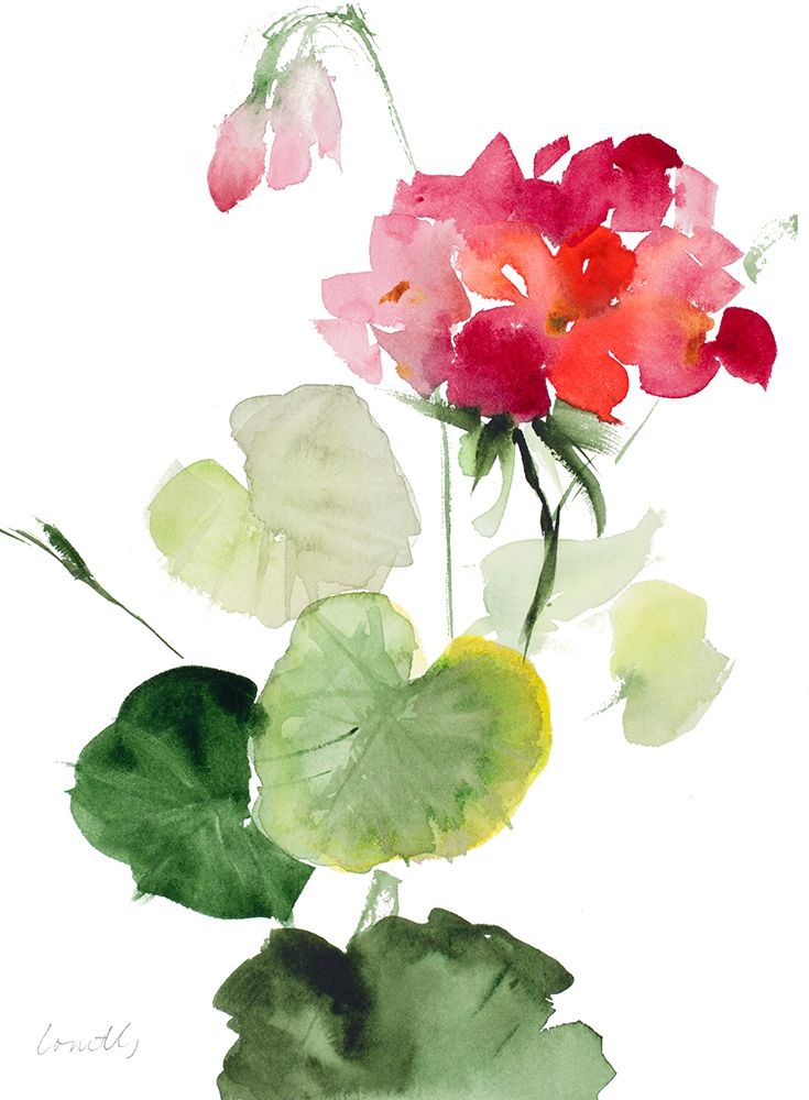 Geranium II art print by Lanie Loreth for $57.95 CAD
