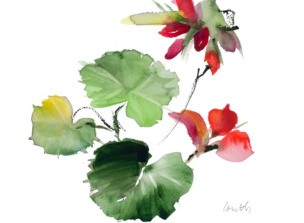 Geranium New Flower art print by Lanie Loreth for $57.95 CAD