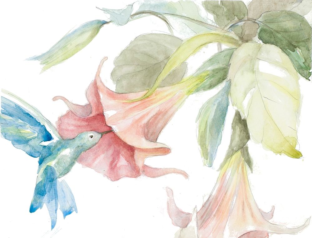 Hummingbird Delights art print by Lanie Loreth for $57.95 CAD