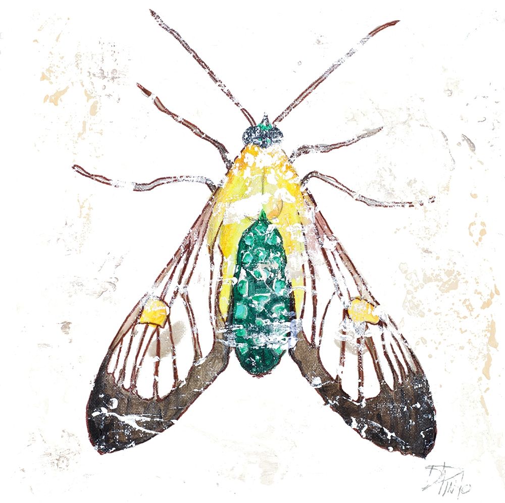 Wild Butterfly art print by Patricia Pinto for $57.95 CAD