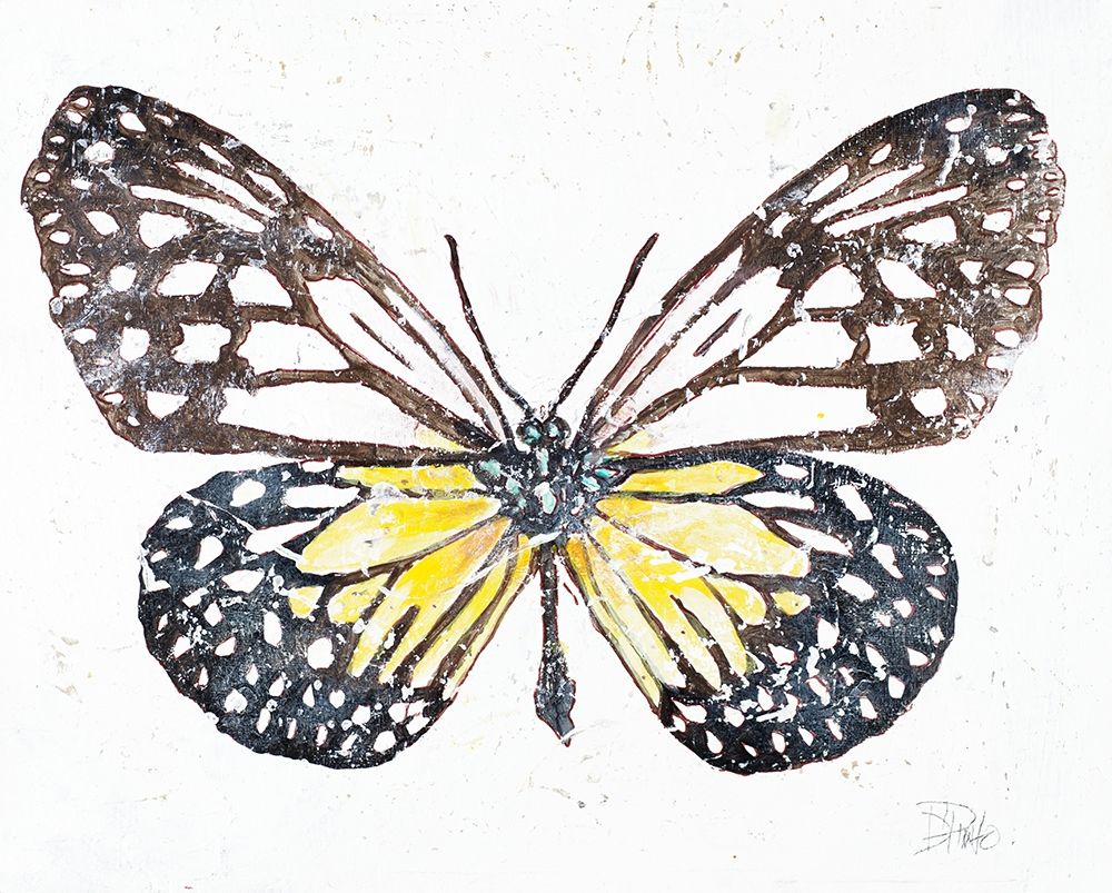 New Butterfly art print by Patricia Pinto for $57.95 CAD