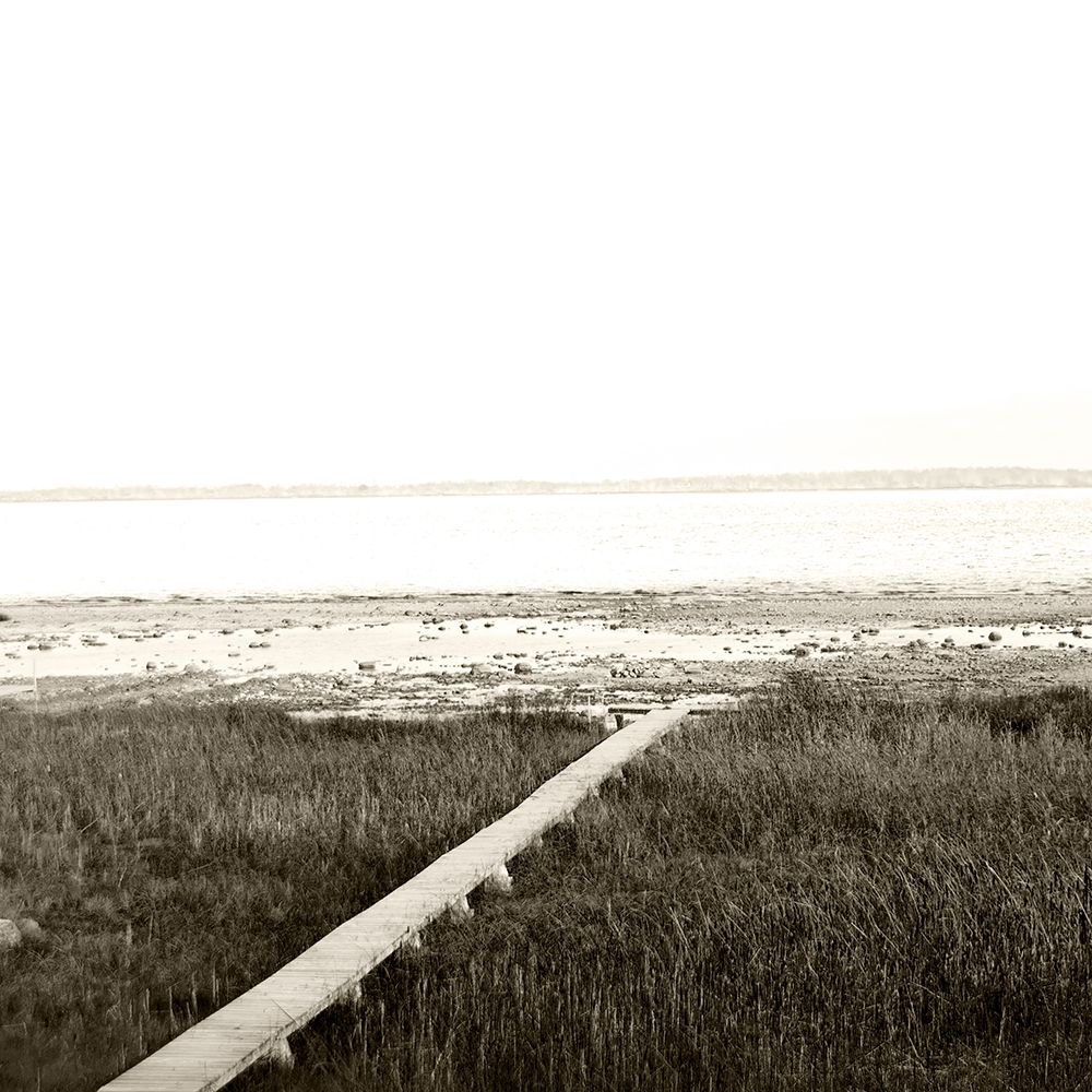 Serene View art print by Kali Wilson for $57.95 CAD
