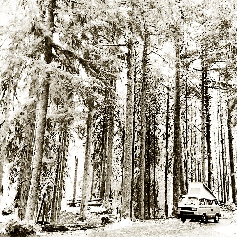 Snow In The Forest art print by Kali Wilson for $57.95 CAD