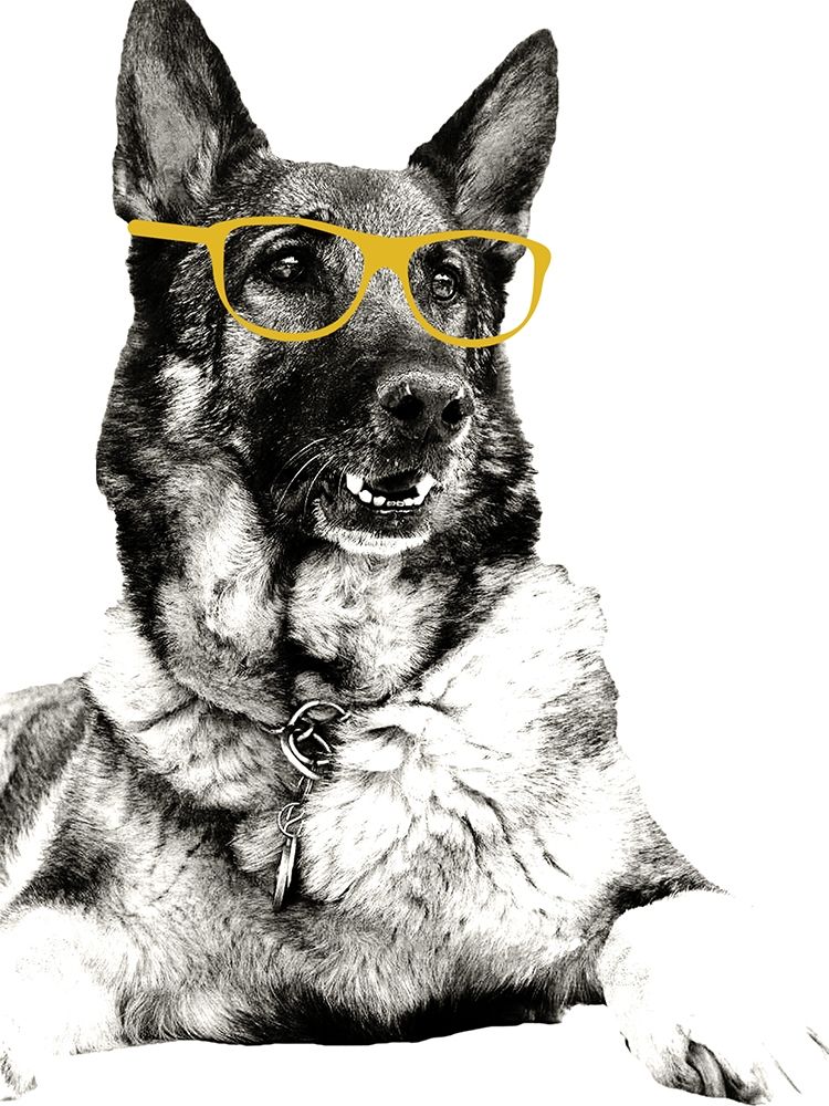 Gold Shades art print by Kali Wilson for $57.95 CAD