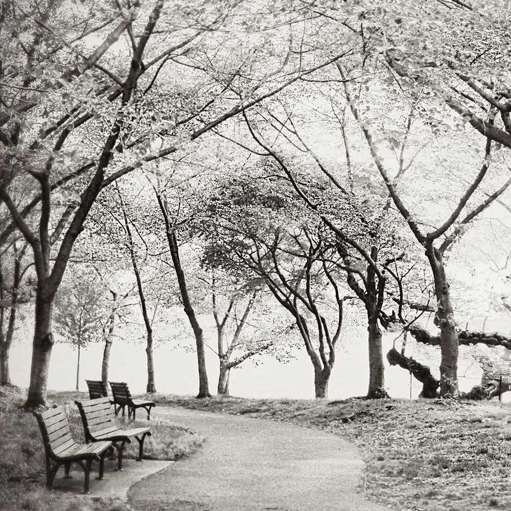 Virginia Park Walk art print by Kali Wilson for $57.95 CAD