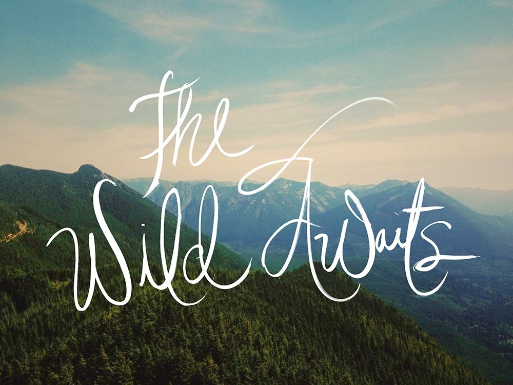 The Wild Awaits art print by Kali Wilson for $57.95 CAD