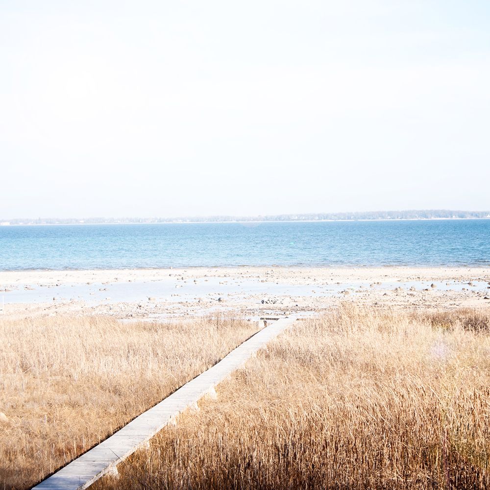 Grassy Shore art print by Kali Wilson for $57.95 CAD