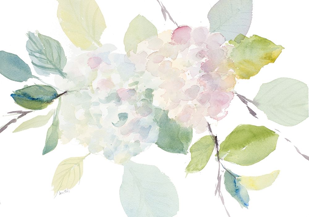 Blushing Blooms art print by Lanie Loreth for $57.95 CAD