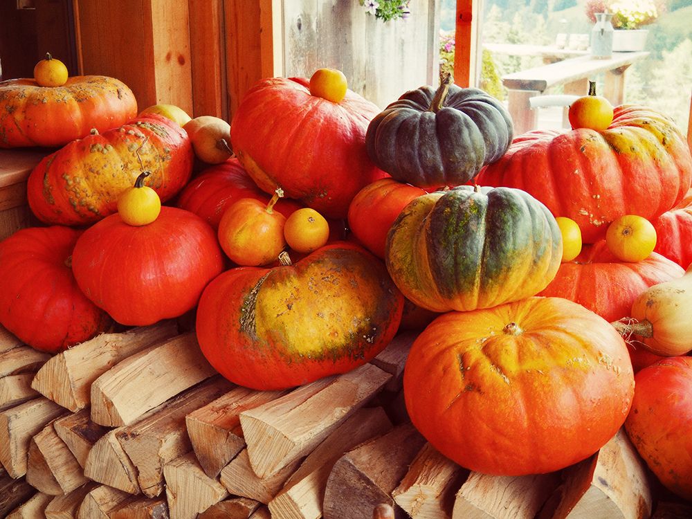 Pumpkins over Wood art print by JB Hyler for $57.95 CAD