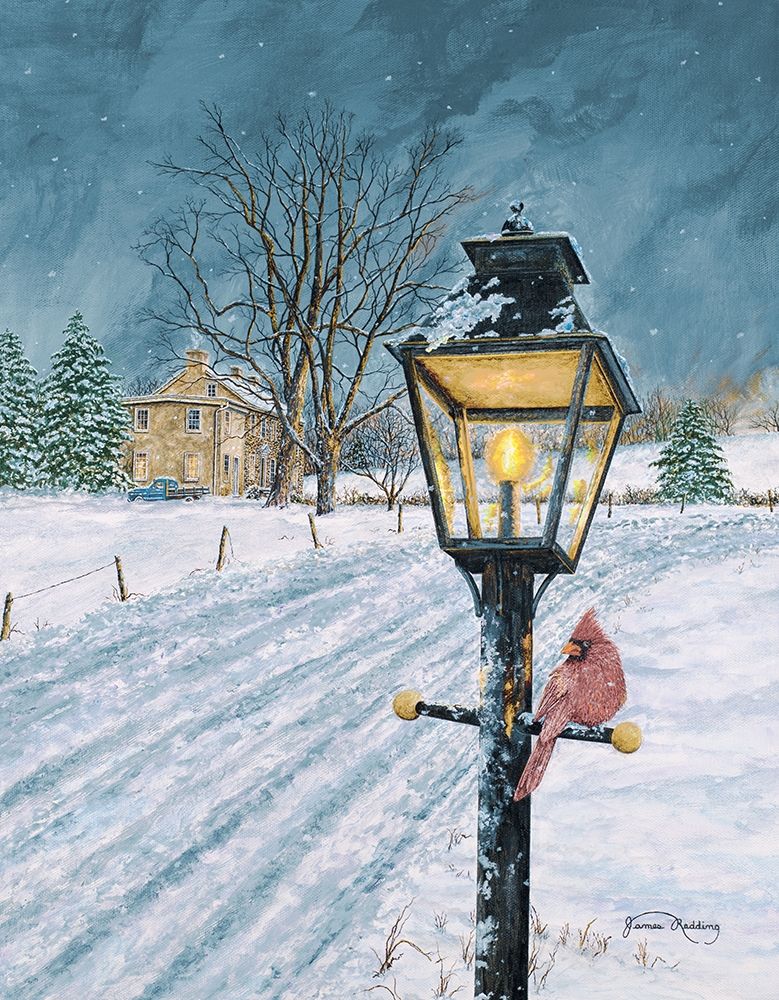 Winter Bird art print by James Redding for $57.95 CAD