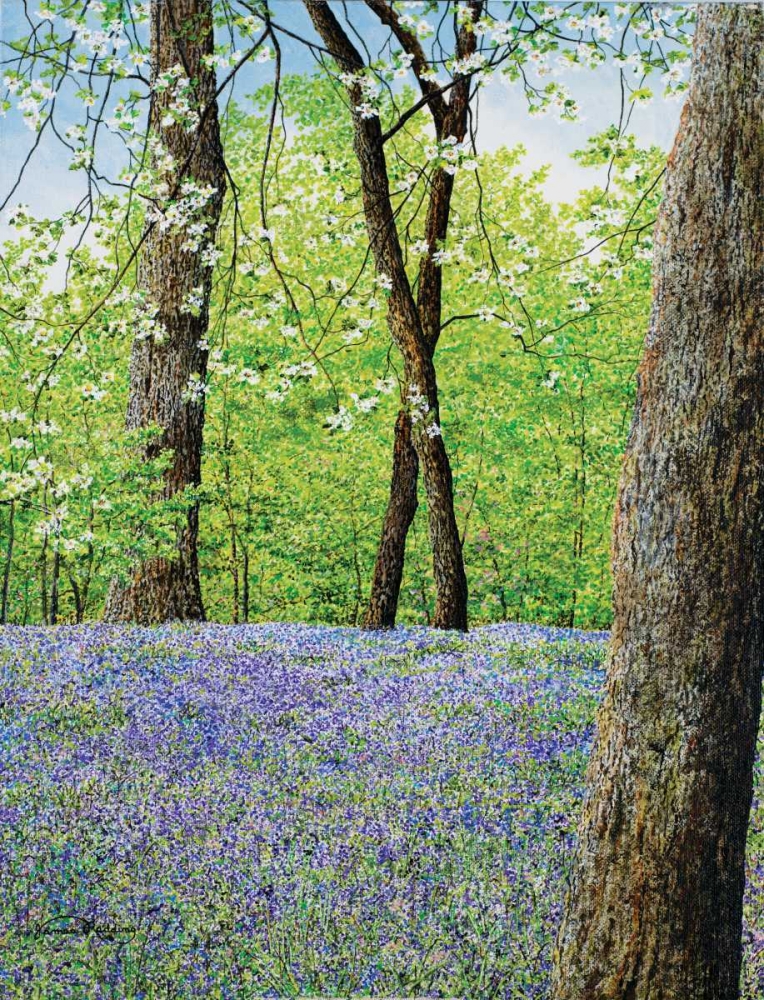 Blue Bells art print by James Redding for $57.95 CAD