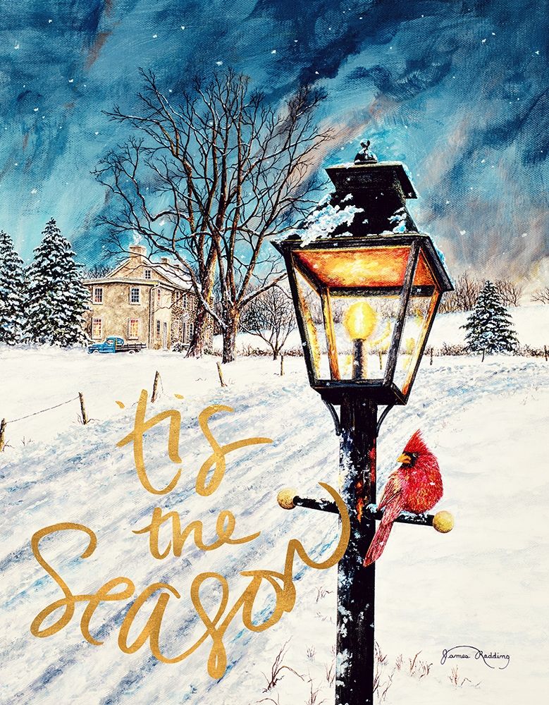 Tis the Season art print by James Redding for $57.95 CAD
