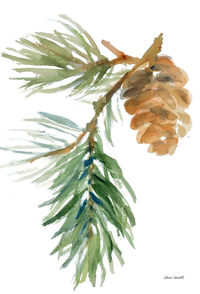 Pine Branch and Cone art print by Lanie Loreth for $57.95 CAD