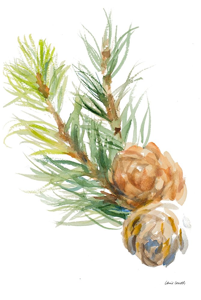 Spruce Branches and Two Cones art print by Lanie Loreth for $57.95 CAD