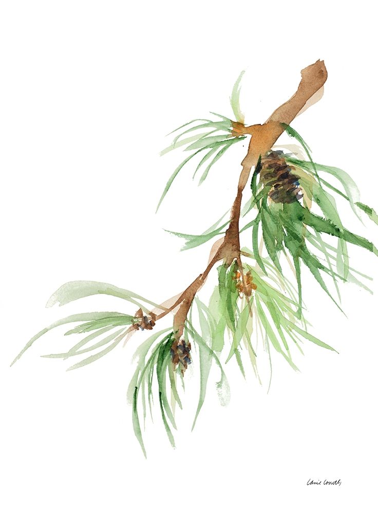 Pine Branch art print by Lanie Loreth for $57.95 CAD