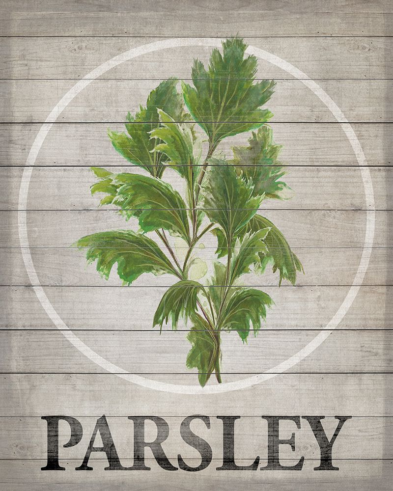 Fresh Herbs on Wood I art print by Diannart for $57.95 CAD