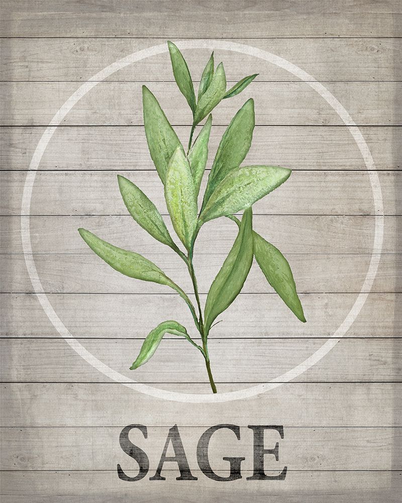 Fresh Herbs on Wood III art print by Diannart for $57.95 CAD